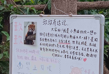 成都动物园第 42 张图片