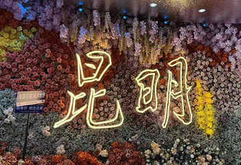 海趣花都海洋世界第 44 张图片