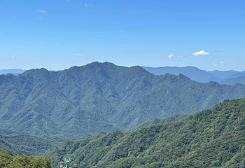 朱雀国家森林公园第 23 张图片