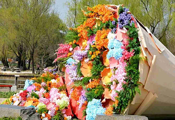 北京国际鲜花港第 25 张图片