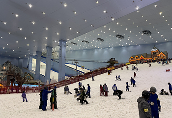 广州热雪奇迹第 247 张图片