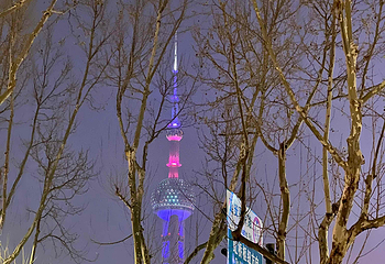 外滩第 220 张图片