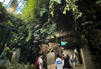 新加坡滨海湾花园第 296 张图片