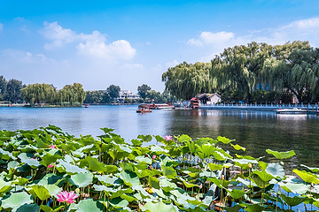 什刹海风景区第 47 张图片