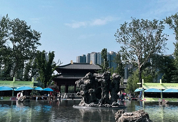 兴庆宫公园第 148 张图片