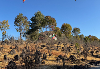 火山地热国家地质公园第 80 张图片