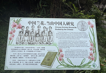 中国科学院华南国家植物园第 32 张图片