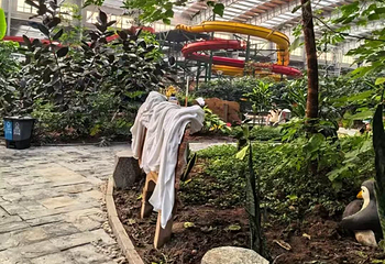 御龙温泉第 25 张图片