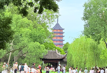 拙政园第 205 张图片