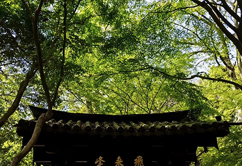灵隐飞来峰景区第 113 张图片