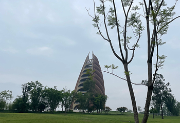 成都大熊猫繁育研究基地第 664 张图片