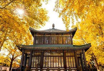 玄武湖景区第 19 张图片