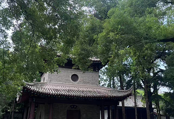 西安博物院第 253 张图片