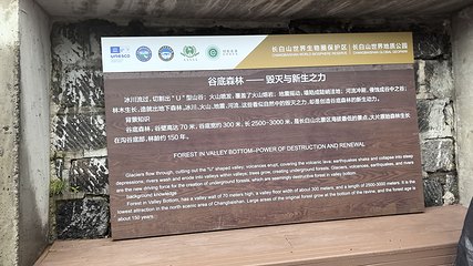 长白山景区第 209 张图片