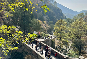 泰山风景区第 205 张图片