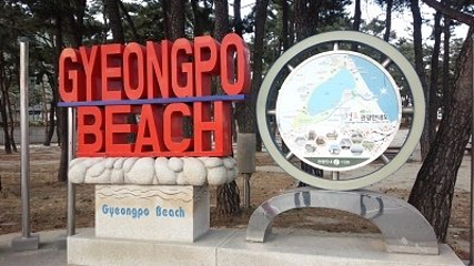 镜浦台海水浴场第 18 张图片