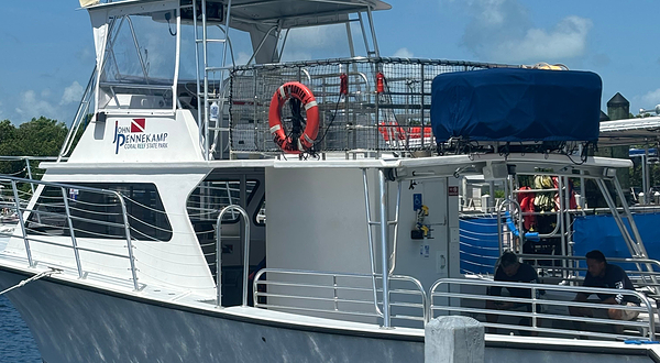 约翰·彭尼坎普珊瑚礁州立公园