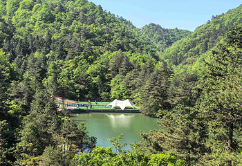浙江大明山地质公园第 81 张图片