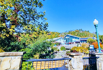 莱利大烟山水族馆第 2 张图片