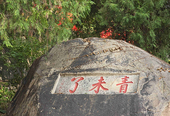 泰山风景区第 99 张图片