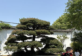 留园第 43 张图片