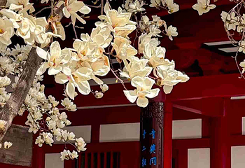 大慈恩寺第 14 张图片