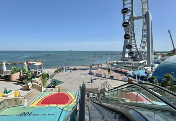 海合安青岛极地海洋公园第 77 张图片