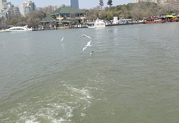 东湖生态旅游风景区第 38 张图片