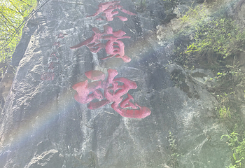 太平国家森林公园第 107 张图片