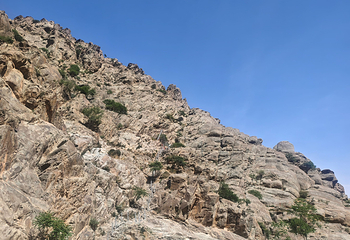贺兰山岩画第 86 张图片