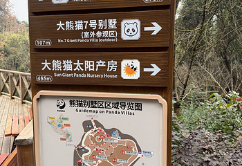 成都大熊猫繁育研究基地第 373 张图片