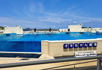 冲绳美丽海水族馆第 84 张图片
