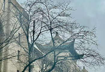 武汉大学第 51 张图片