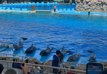 名古屋港水族馆第 22 张图片