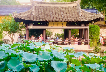 沈园第 63 张图片