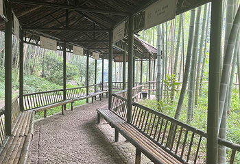 浙东小九寨第 52 张图片
