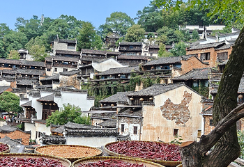 婺源篁岭景区第 287 张图片