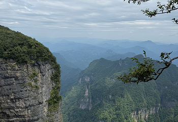 天门山国家森林公园第 436 张图片