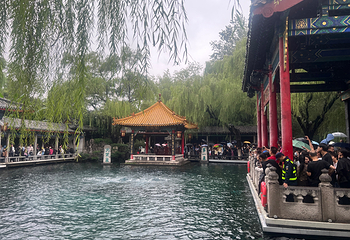 趵突泉景区第 173 张图片
