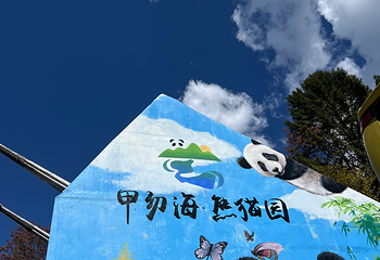 甲勿海·熊猫园景区第 15 张图片