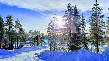 Lapland Husky Safaris