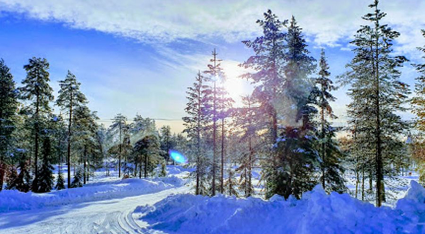 Lapland Husky Safaris