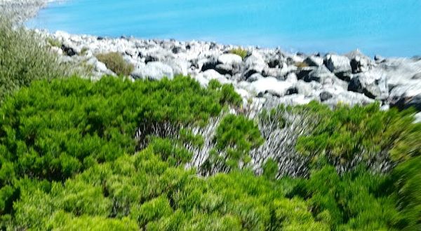 Lake Pukaki Viewpoint