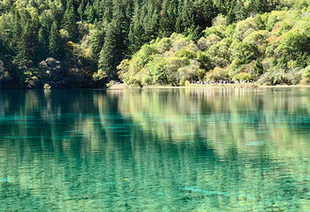 九寨沟风景区第 494 张图片