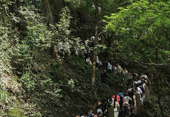 青城山第 331 张图片