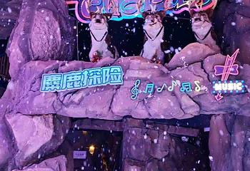 阿尔卑斯雪世界第 324 张图片