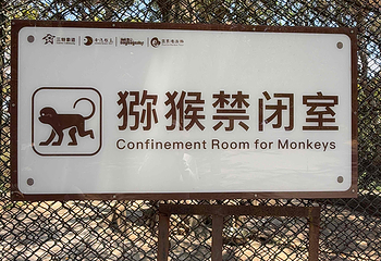 南湾猴岛生态旅游区第 104 张图片
