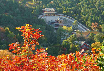 香山公园第 31 张图片