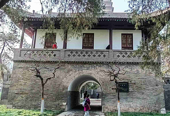 小雁塔遗址公园第 67 张图片