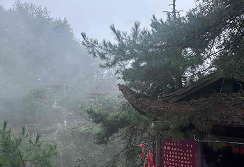 张家界国家森林公园第 367 张图片